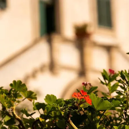 Encantamiento - Dimora Gelsomino - Masseria Storica Nel Cuore Della Puglia Con Piscina Apartment Latiano