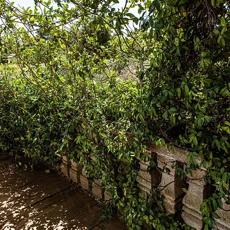 Apartamento Encantamiento - Dimora Gelsomino - Masseria Storica Nel Cuore Della Puglia Con Piscina Latiano