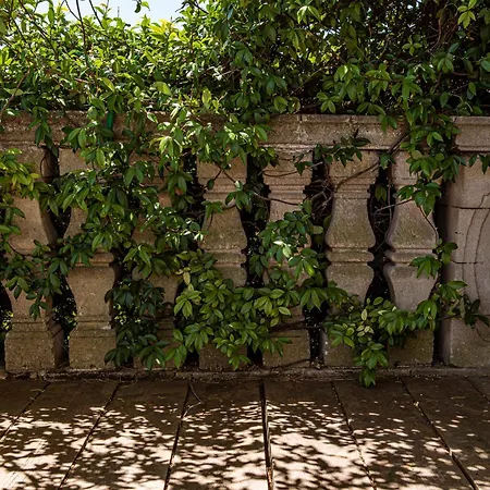 Apartamento Encantamiento - Dimora Gelsomino - Masseria Storica Nel Cuore Della Puglia Con Piscina *